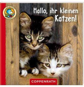 Lino-Bücher Box Nr. 67  Linos Bauernhof-Bildergeschichten sortiert (1Stück)