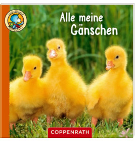 Lino-Bücher Box Nr. 67  Linos Bauernhof-Bildergeschichten sortiert (1Stück)