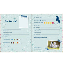 Taschenbuch-Freundebuch Pferdefreunde mit Wendepailletten sortiert