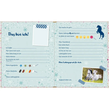Taschenbuch-Freundebuch Pferdefreunde mit Wendepailletten sortiert