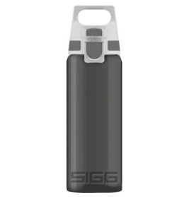 Graue SIGG-Trinkflasche mit weiß-grauem Deckel und rechteckigem Griff oben.