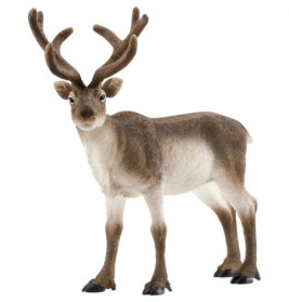 schleich® Wild Life 14837 Rentier
