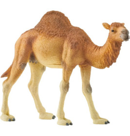 schleich® Wild Life 14832 Dromedar