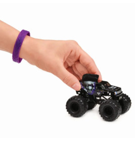 Spin Master Monster Jam Single Pack 1:64