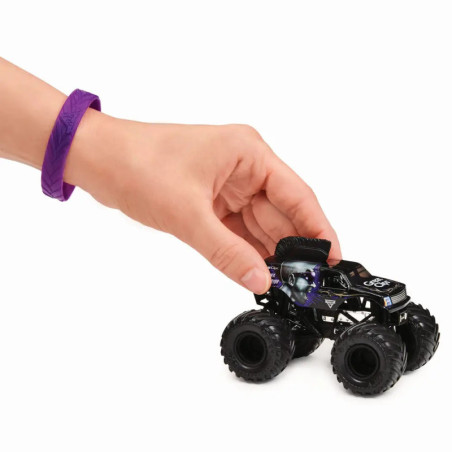 Spin Master Monster Jam Single Pack 1:64