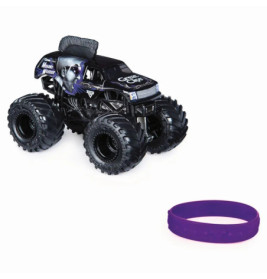 Spin Master Monster Jam Single Pack 1:64