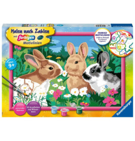 Malset-Box mit Motiv: Drei Kaninchen auf bunter Blumenwiese, Pinsel und Farben sind abgebildet.