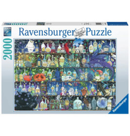 Box eines 2000-teiligen Ravensburger Puzzles mit Zaubertrankflaschen, Kreaturen und mystischen Objekten.
