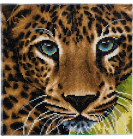 Crystal Art Leinwand Leopard 30x30 cm