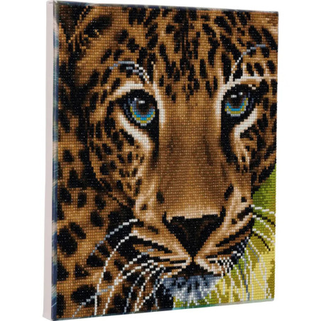 Crystal Art Leinwand Leopard 30x30 cm Crystal Art Leinwand Leopard 30x30 cm