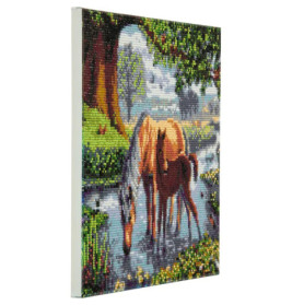 Crystal Art Leinwand Ponys 30x30 cm