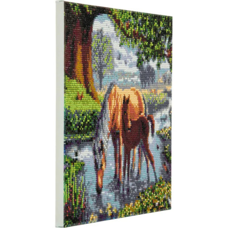 Crystal Art Leinwand Ponys 30x30 cm