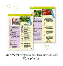 Mein erstes Gewächshaus