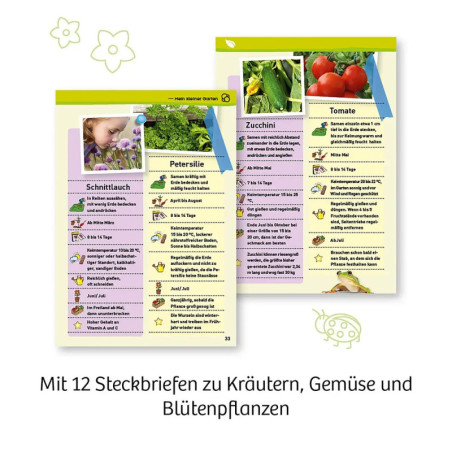 Mein erstes Gewächshaus