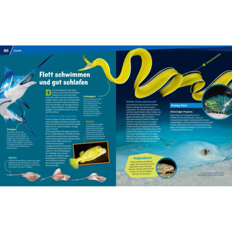 WAS IST WAS Entdecke die Tierwelt