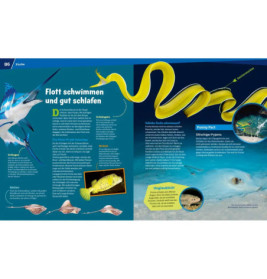 WAS IST WAS Entdecke die Tierwelt