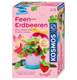 Kosmos Feen-Erdbeeren