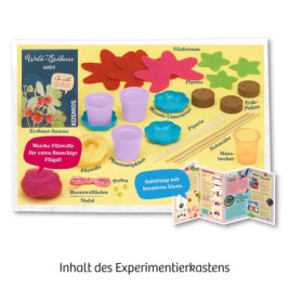 Kosmos Feen-Erdbeeren