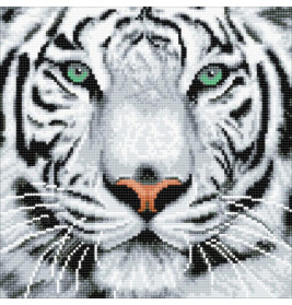 Crystal Art Schneetiger 30x30 cm