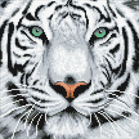 Crystal Art Schneetiger 30x30 cm