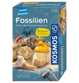 Kosmos-Ausgrabungsset für Fossilien für 7- bis 11-Jährige, mit abgebildeten Fossilien, Gesteinen und Werkzeugen.