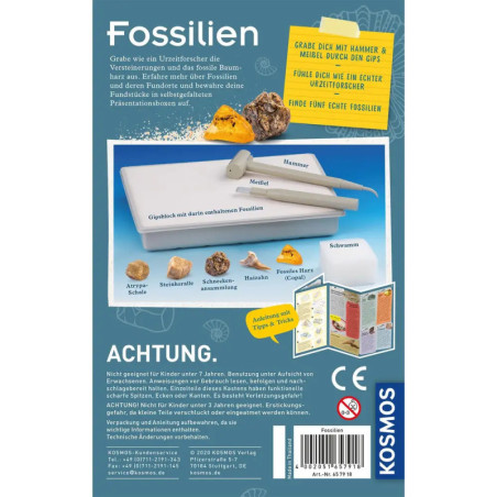 Fossilien