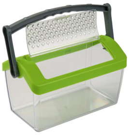 Durchsichtige Box mit grünem Deckel, grauem Griff und belüftetem Klappverschluss zur Aufbewahrung kleiner Tiere.