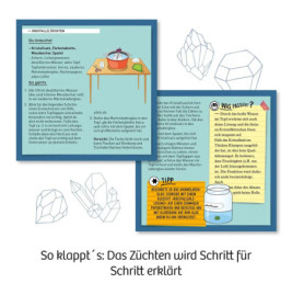 Kosmos Rote Kristalle selbst züchten