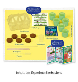 Kosmos Mimosen-Garten