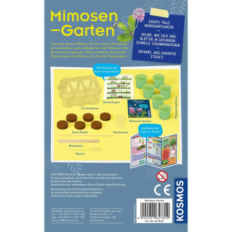 Kosmos Mimosen-Garten