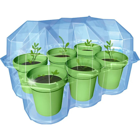 Kosmos Mimosen-Garten Kosmos Mimosen-Garten