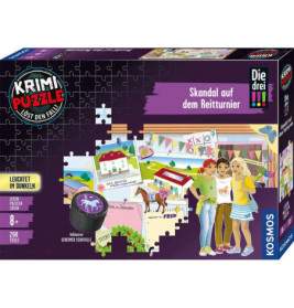 Detektiv-Puzzlebox mit drei Mädchen auf einem Reitturnier, Ställen und Hinweisen, sachlich illustriert.
