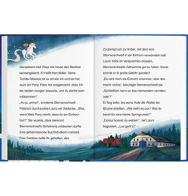 Sternenschweif 02 / Sprung in die Nacht