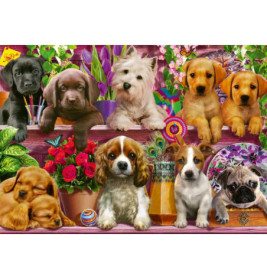 Schmidt Spiele 58973 Puzzle 500T Hunde im Regal