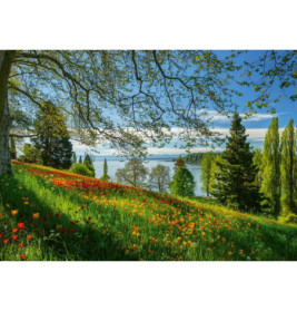 Schmidt Spiele 58967 Puzzle 1000T.Frhlingsallee zur Tulpenblte, Insel Mainau