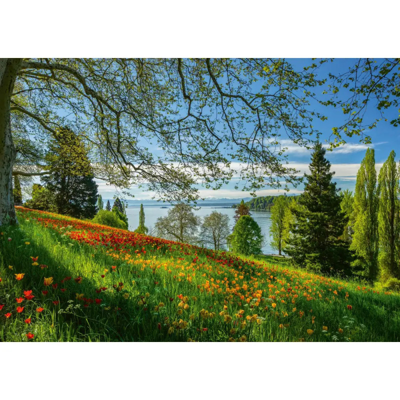Eine blühende Wiese am Hang überblickt einen von Bäumen gesäumten See unter blauem Himmel. Eine blühende Wiese am Hang überblickt einen von Bäumen gesäumten See unter blauem Himmel.