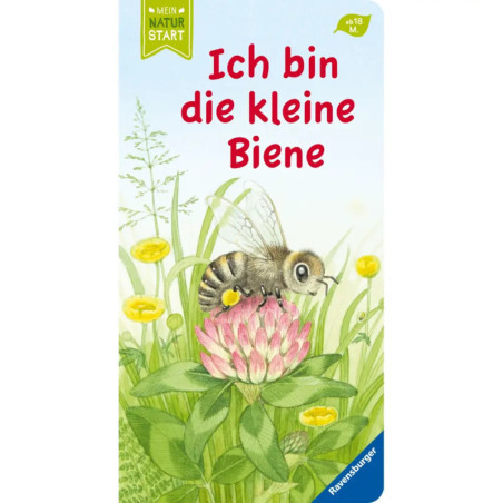 Illustration: Eine Biene sitzt auf einer rosa Kleeblüte, daneben steht der deutsche Text Ich bin die kleine Biene.