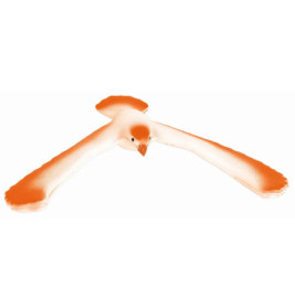 PhänoMINT Magischer Schwebevogel