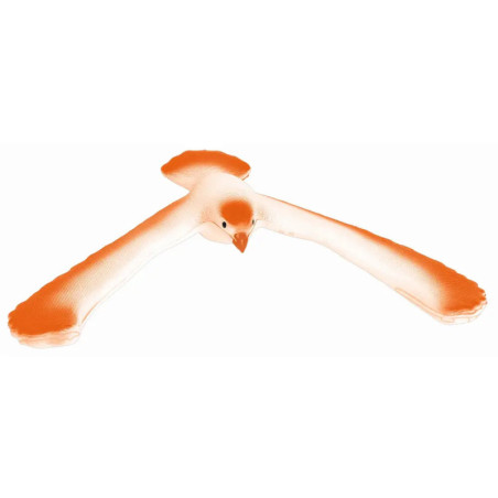 PhänoMINT Magischer Schwebevogel