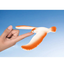 PhänoMINT Magischer Schwebevogel