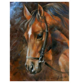 Diamond Painting Pferd 40x30 cm
