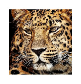 Diamond Painting Jaguar Kopf 40x30 cm