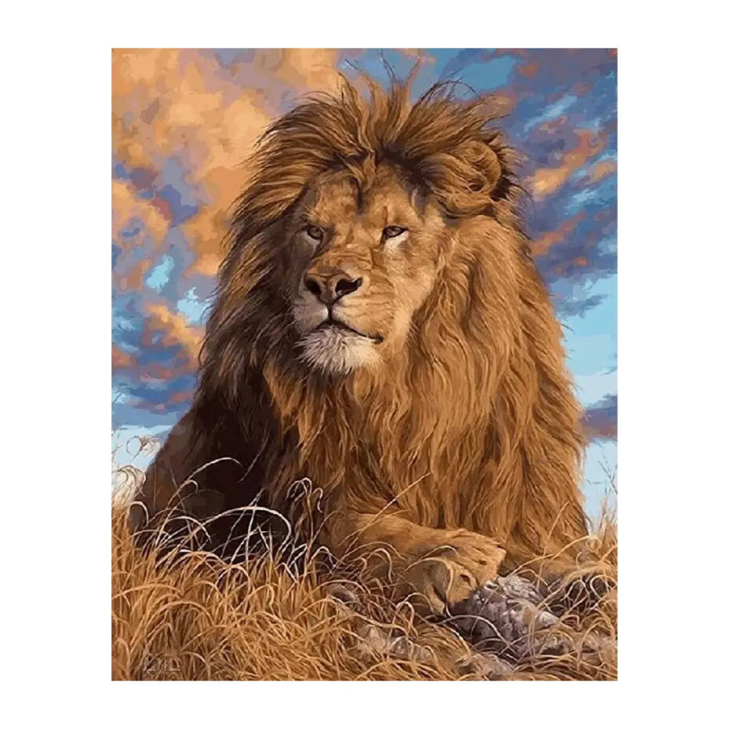 Ein mächtiger Löwe mit dichter Mähne ruht im hohen Gras unter einem lebhaften, wolkigen Himmel.