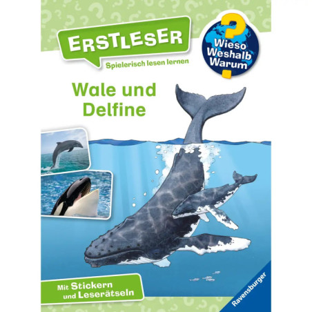 Buchcover mit Illustrationen von Wal, Delfin und Orca, Titel: Wale und Delfine (auf Deutsch).