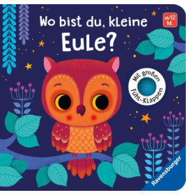 Gezeichnete Eule auf Ast vor dunkelblauem Sternenhimmel mit dem deutschen Text Wo bist du, kleine Eule?.