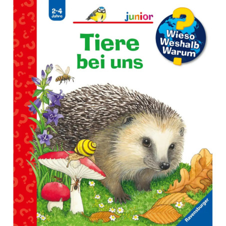 Illustrierter Buchumschlag mit Igel, Blumen, einer Biene, einem Pilz und dem deutschen Titel Tiere bei uns.