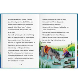 Sternenschweif 04 / Lauras Zauberritt