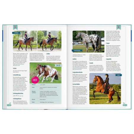 Kosmos Das großes Kosmos Pferdelexikon