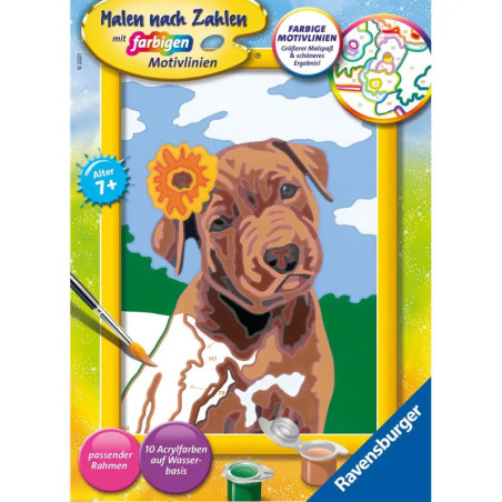 Malset für Kinder mit Zahlenfeldern, brauner Welpe, Sonnenblume, Pinsel und Farbtöpfen. Malset für Kinder mit Zahlenfeldern, brauner Welpe, Sonnenblume, Pinsel und Farbtöpfen.