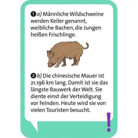 Pocket Quiz junior Allgemeinwissen